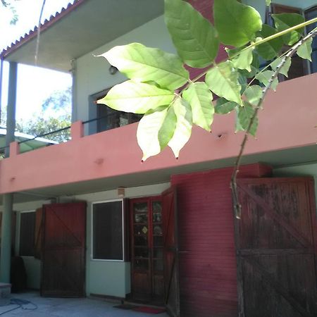 B&B La Quercia San Gregorio  외부 사진