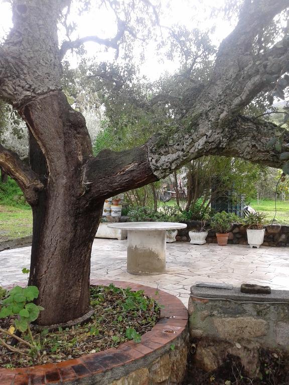 B&B La Quercia San Gregorio  외부 사진
