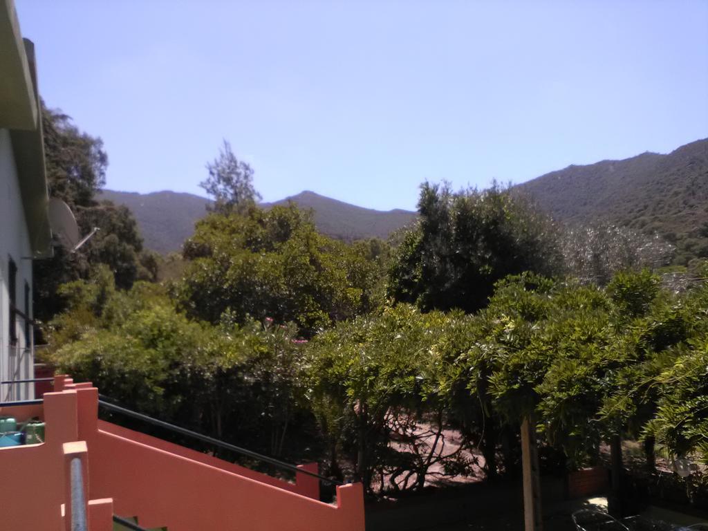 B&B La Quercia San Gregorio  외부 사진