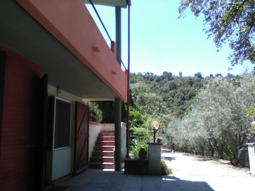 B&B La Quercia San Gregorio  외부 사진