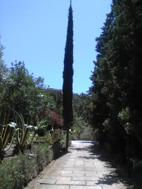 B&B La Quercia San Gregorio  외부 사진